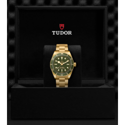 Montre TUDOR Black Bay